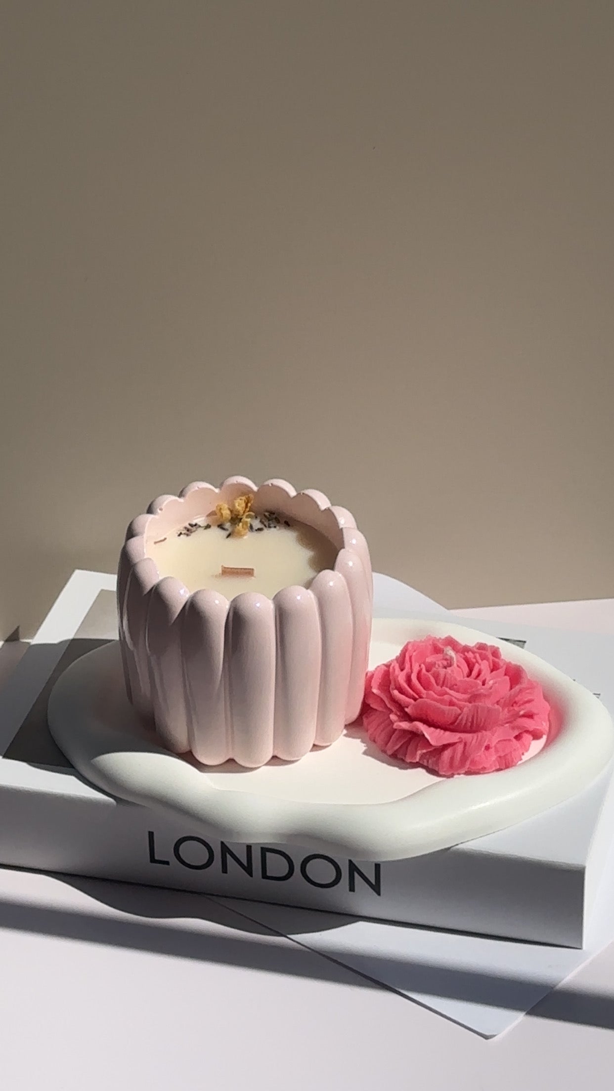 𝑷𝑹𝑰𝑴𝑨𝑽𝑬𝑹𝑨 𝑪𝑨𝑵𝑫𝑳𝑬