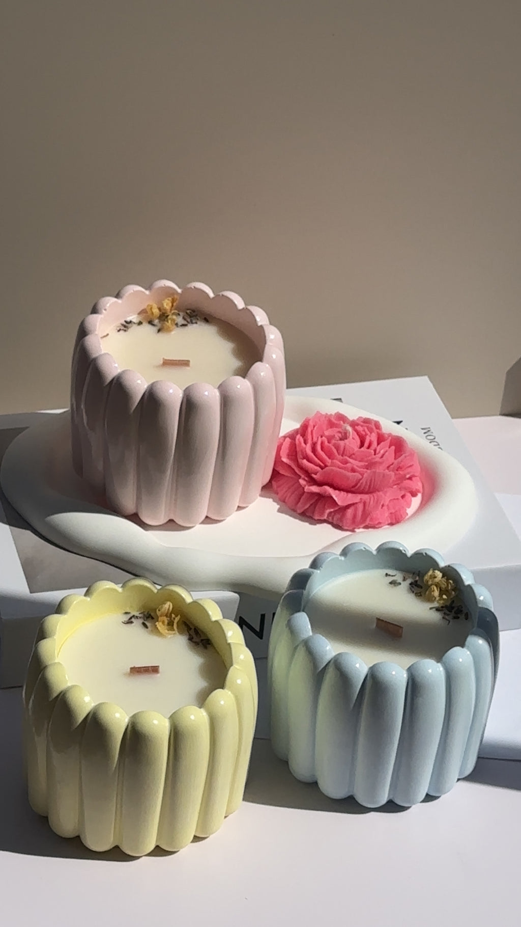 𝑷𝑹𝑰𝑴𝑨𝑽𝑬𝑹𝑨 𝑪𝑨𝑵𝑫𝑳𝑬